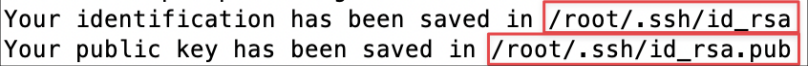 Screenshot illustrating Public Key: ~/.ssh/id_rsa.pub