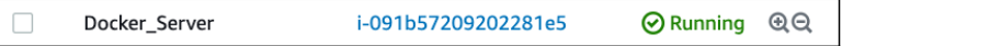 Screenshot illustrating Let’s setup the EC2 instance for “Docker" Server like so:
