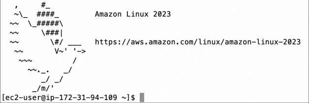 Screenshot illustrating After that, let’s SSH to the Docker Server on EC2: