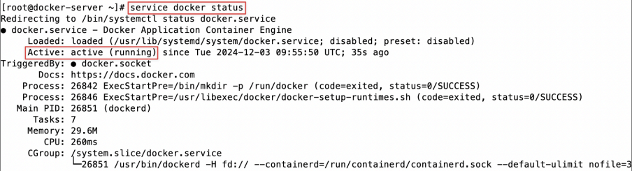 Screenshot illustrating service docker status