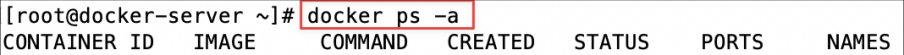 Screenshot illustrating docker ps -a