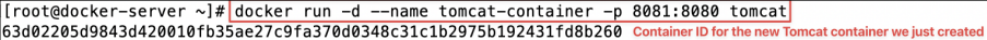 Screenshot illustrating docker run -d --name <container_name> -p <outside_port_number>:<container_port_number> <image_name>