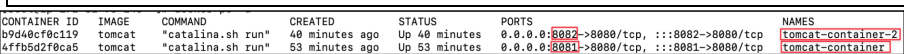 Screenshot illustrating docker ps