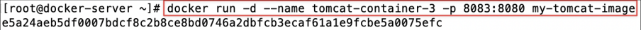 Screenshot illustrating docker run -d --name <container_name> -p <outside_port_number>:<container_port_number> <image_name>