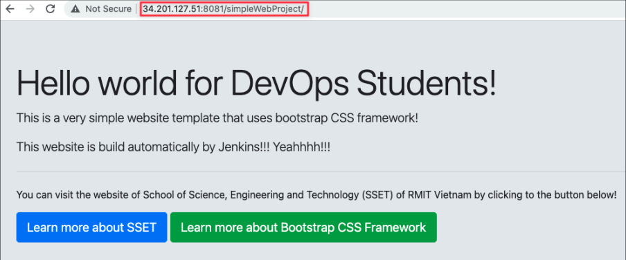Screenshot illustrating So let's check out the website via that port 8081: