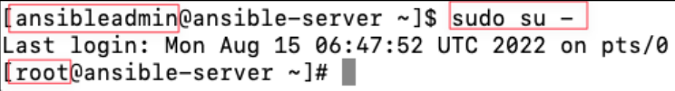 Screenshot illustrating sudo su -