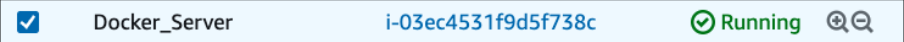 Screenshot illustrating Let's SSH into the Docker Server: