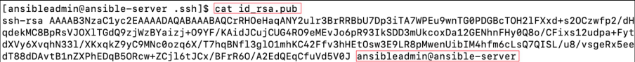 Screenshot illustrating cat id_rsa.pub