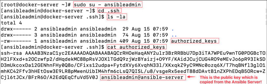 Screenshot illustrating cat authorized_keys