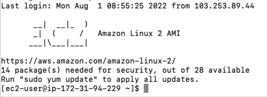 Screenshot illustrating Let's SSH into the Jenkins Server: