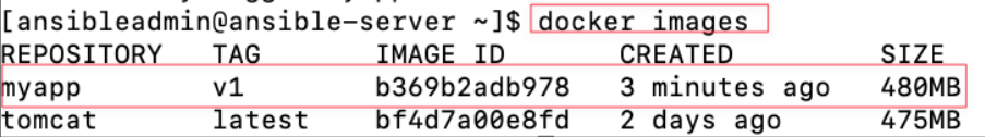 Screenshot illustrating docker images