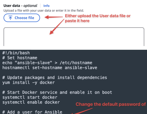 Screenshot illustrating Upload or paste in the User data: (1 of 2)