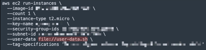 Screenshot illustrating Use the following CLI command to launch the instance: