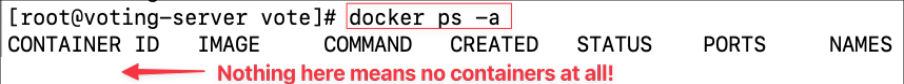 Screenshot illustrating docker rm <container_id or container_name>