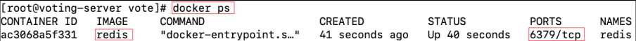 Screenshot illustrating docker ps