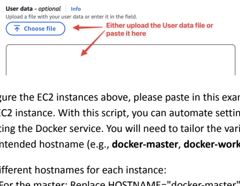 Screenshot illustrating Upload or paste in the User data: